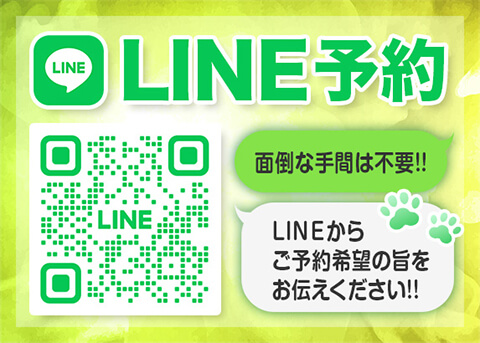 LINE\ r܃zew&fw r܁ɂ񂾁FULL