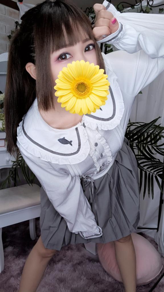 ���������߂� �v���t�B�[��